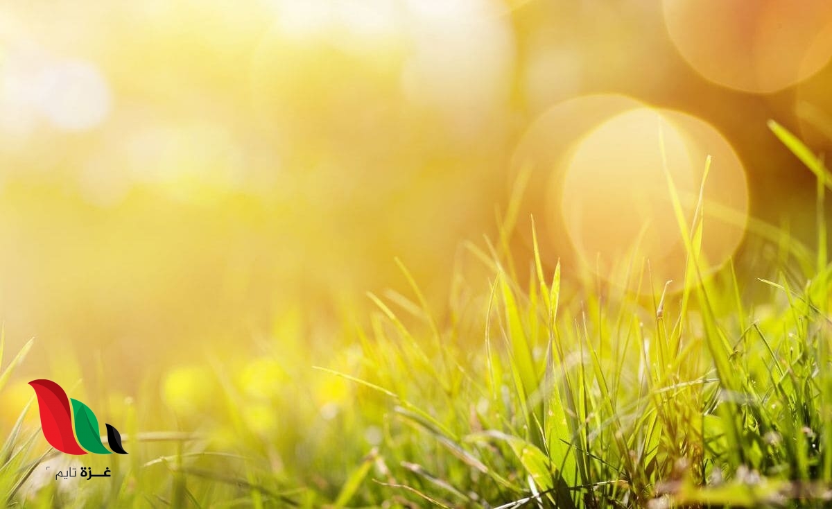 توقعات طقس فلسطين حتى نهاية الأسبوع