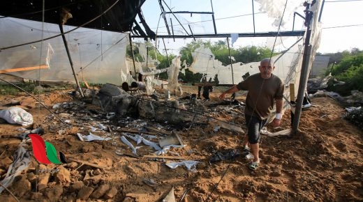 غزة: القطاع الزراعي يعلن حجم خسائره جراء العدوان