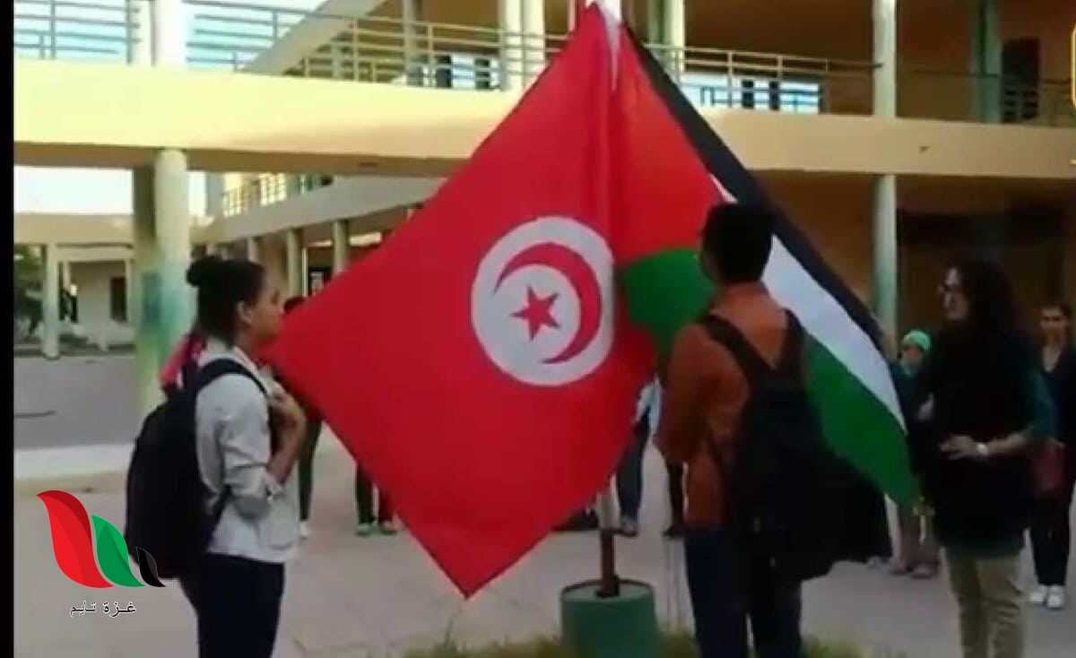 تضامنًا مع القدس.. المدارس التونسية ترفع علم فلسطين