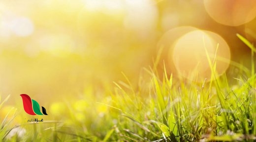 توقعات طقس فلسطين حتى نهاية الأسبوع