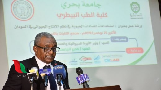 جامعة بحري 2019 في السودان