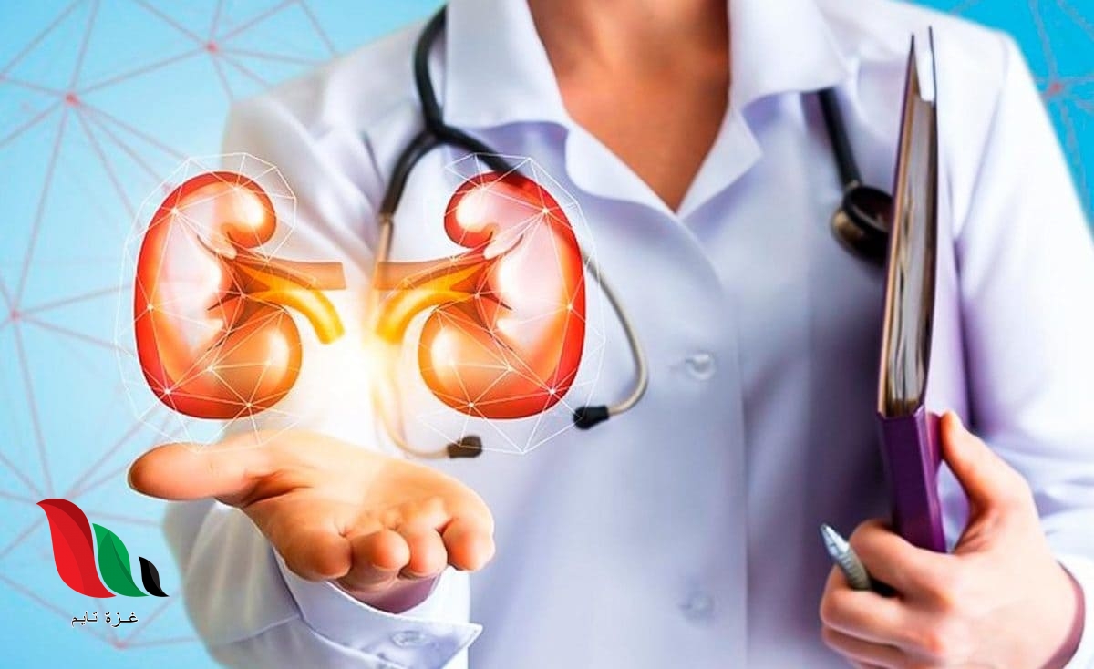 تفتيت الحصى في الكلى 