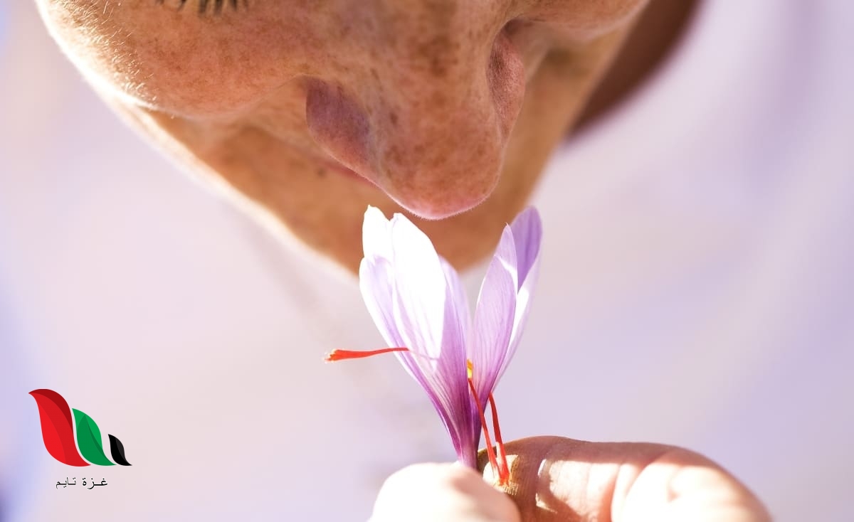 هل يؤدي فقدان حاسة الشم للموت؟