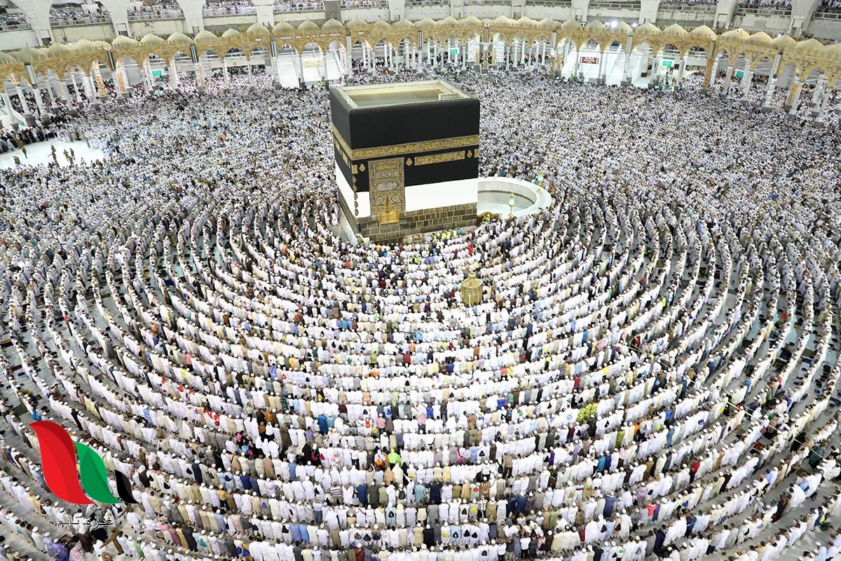 الجزائر: الديوان الوطني للحج والعمرة يعلن نتائج قرعة الحج 2020