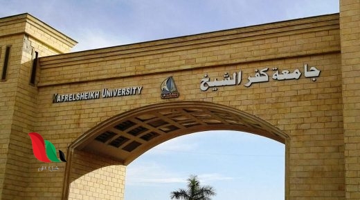 نتائج الطلاب في جامعة كفر الشيخ بالرقم القومي