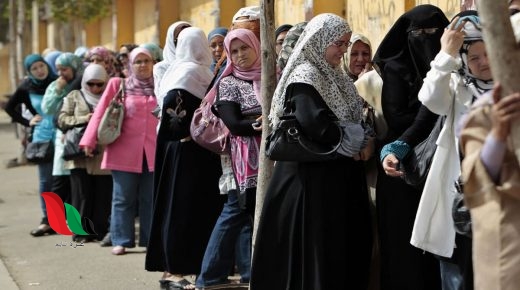 رابط موقع دعم مصر لتحديث بطاقات التموين (كيفية الدخول)