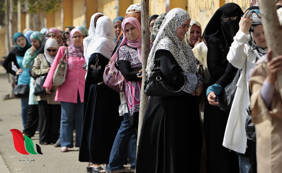 رابط موقع دعم مصر لتحديث بطاقات التموين (كيفية الدخول)