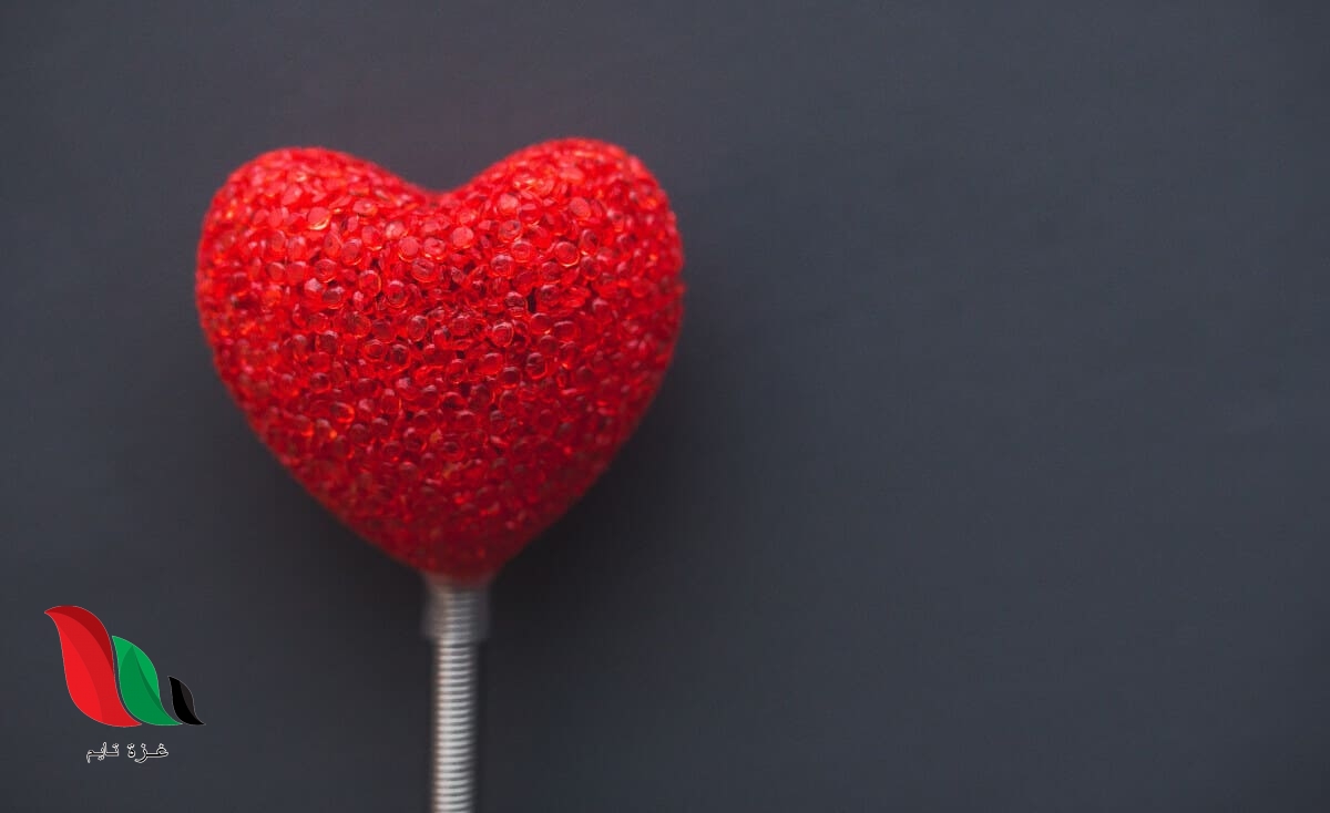 اجمل ما قيل في عيد الحب من كلام رومانسي ورسائل جميلة