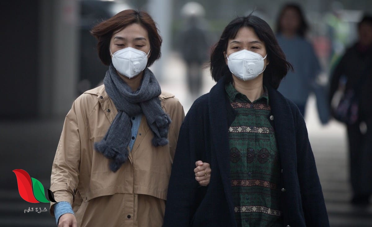 معلومات عن فيروس كورونا الجديد