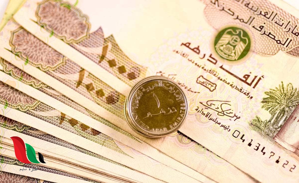 سعر الدرهم الاماراتي مقابل الجنيه المصري اليوم الأحد 15-3-2020