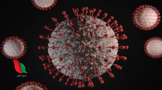 هل يموت فيروس كورونا داخل غرف الساونا وهل يقتله مجفف الشعر؟