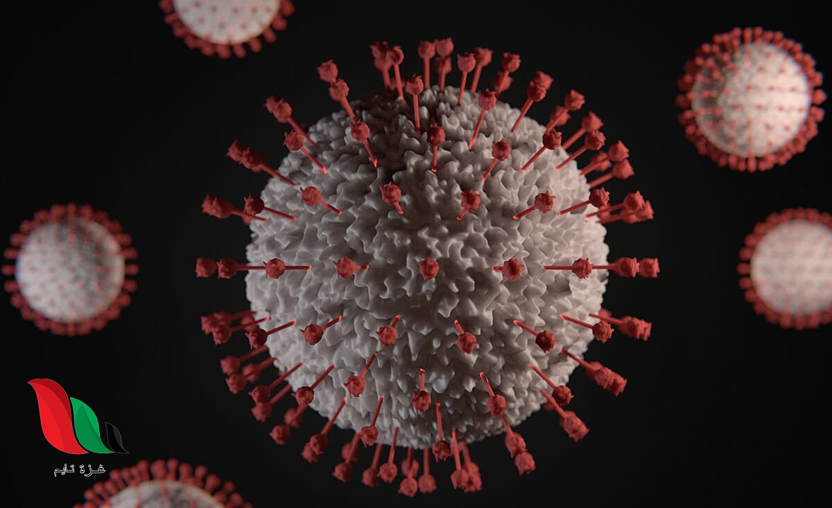 هل يموت فيروس كورونا داخل غرف الساونا وهل يقتله مجفف الشعر؟