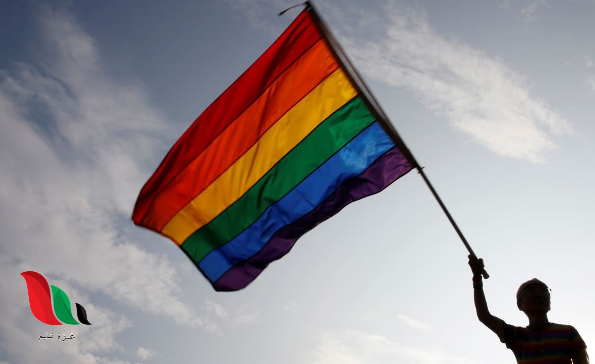 دولة عربية تقرر السماح بزواج المثليين.. وهذا مبررها