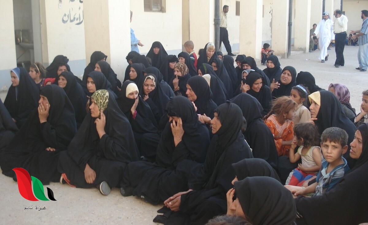 رابط فحص اسماء الرعاية الاجتماعية 2020 في العراق