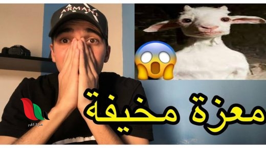 شاهد: فيديو المعزة المخيفة المرعب كامل بجودة عالية الآن