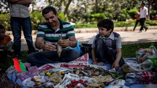 الحكومة تعلن موعد اجازة يوم شم النسيم 2020 في مصر