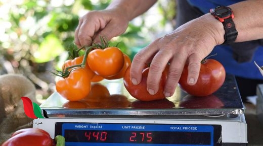 مقدار الصاع كم كيلو لاخراجه في زكاة الفطر 2020