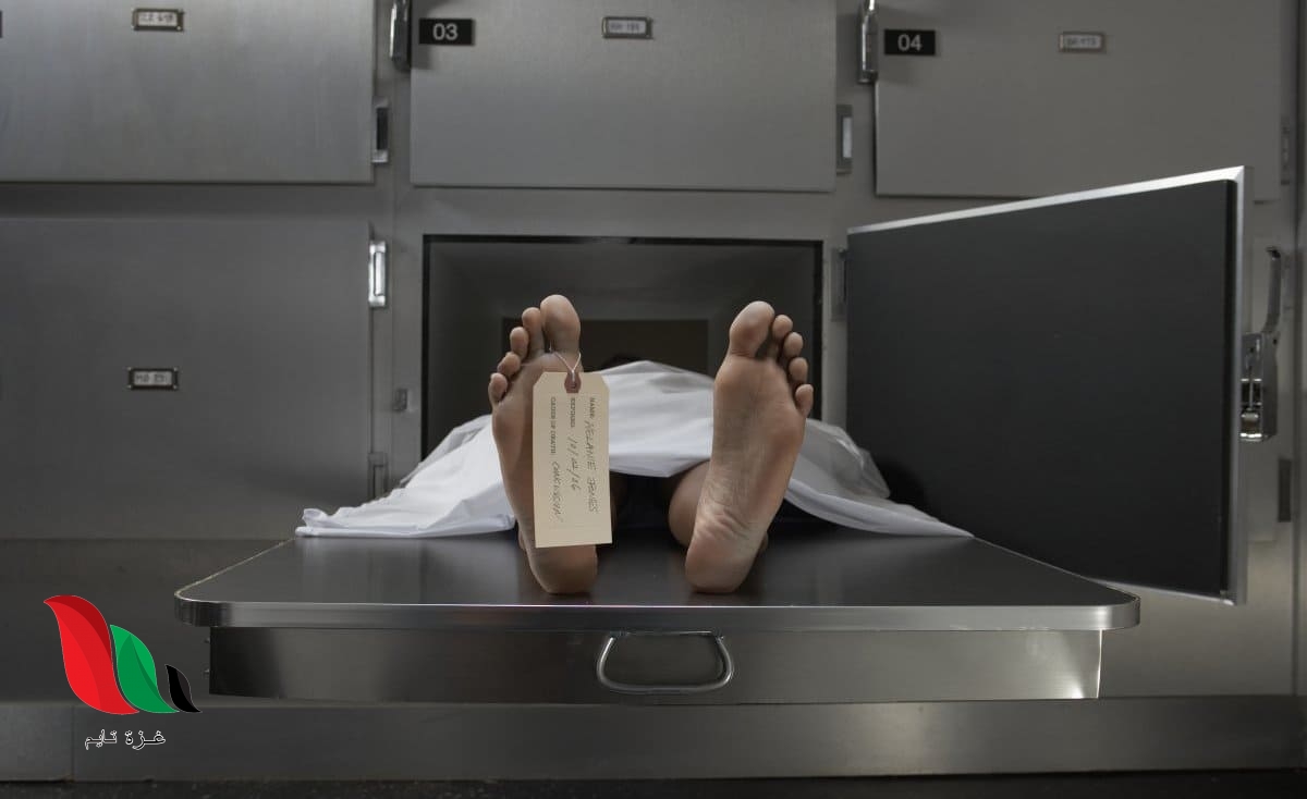 استعلام عن متوفى بالاسم في المدينة وجميع مناطق المملكة