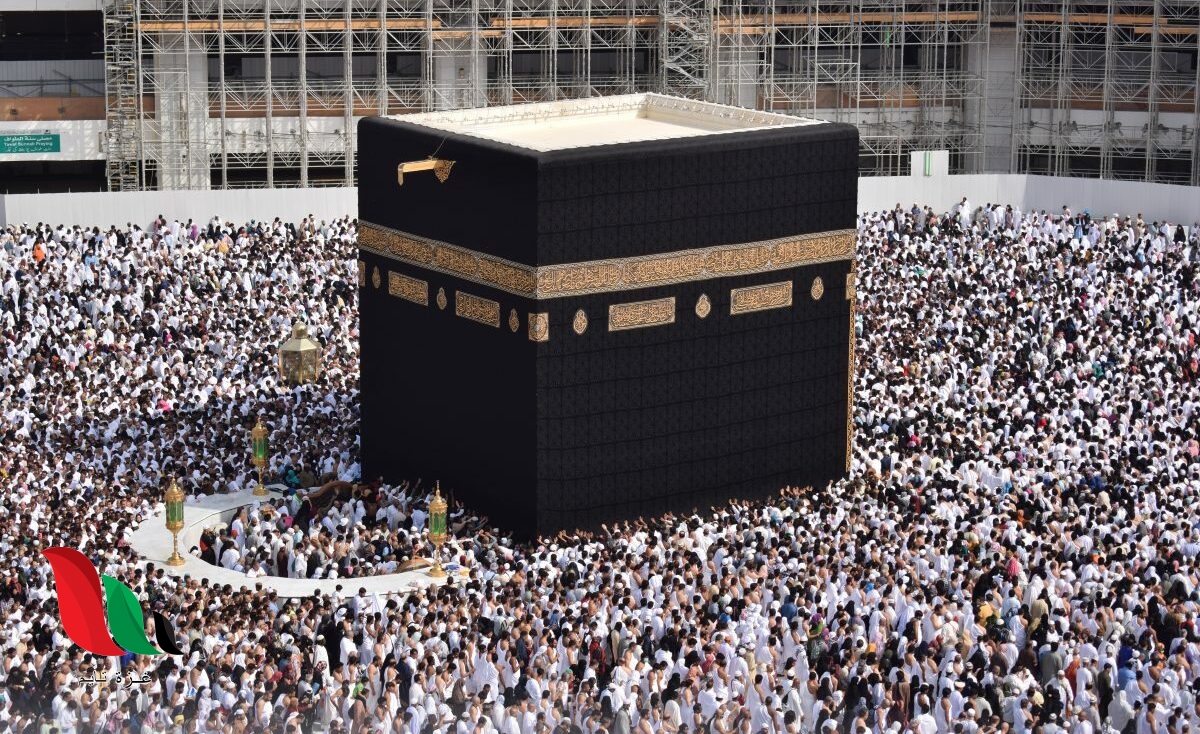 السعودية تعيد رحلات الحج والعمرة لعام 2020.. ما صحة هذا الخبر!