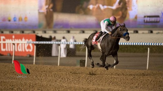 تفاصيل وفاة اروقيت الحصان بطل العالم في سباق الخيل بالسعودية