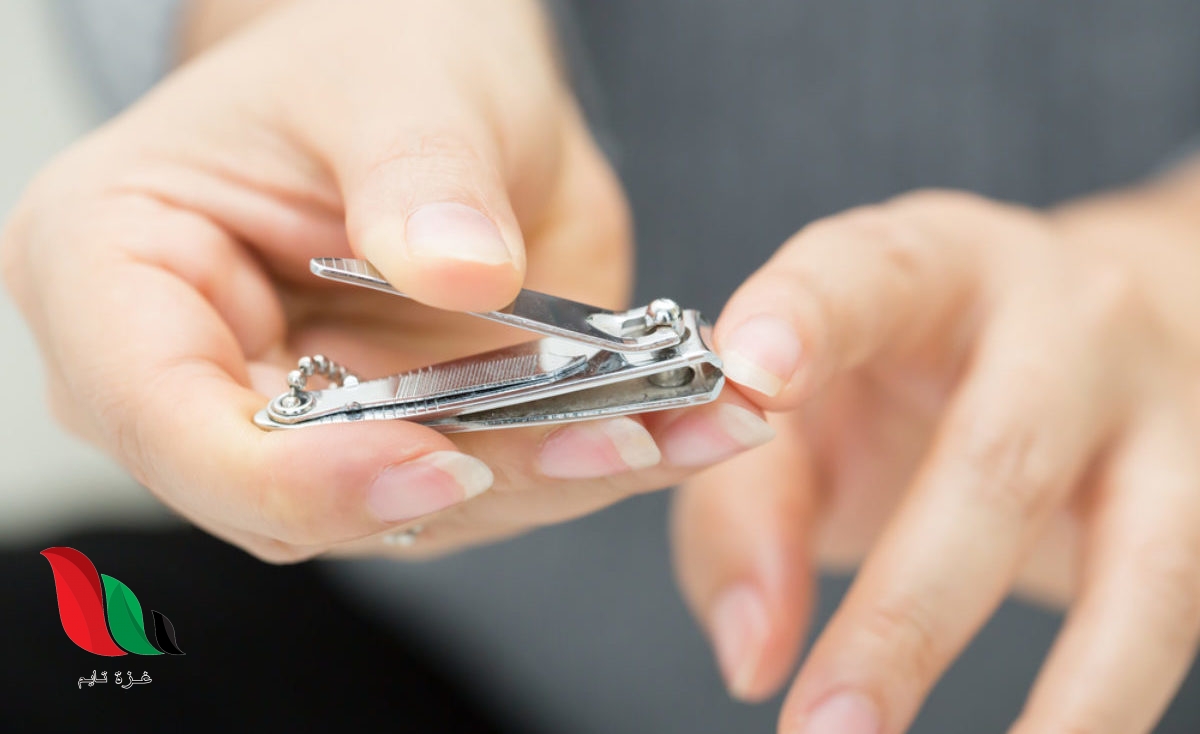 حكم قص الشعر و الاظافر ناسيا للمضحي في العشر الاوائل.. هل يجوز ؟