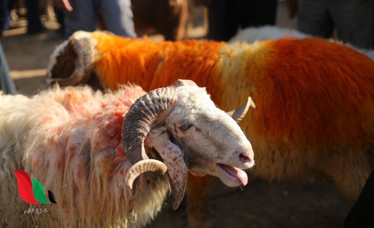 متى يصادف موعد عيد الاضحى المبارك 2020 في العراق