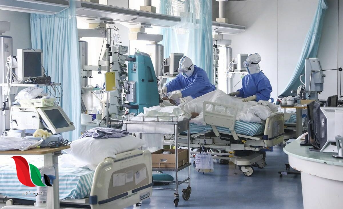 4 طرق سحرية للاستمتاع برئة صحية محمية من كورونا