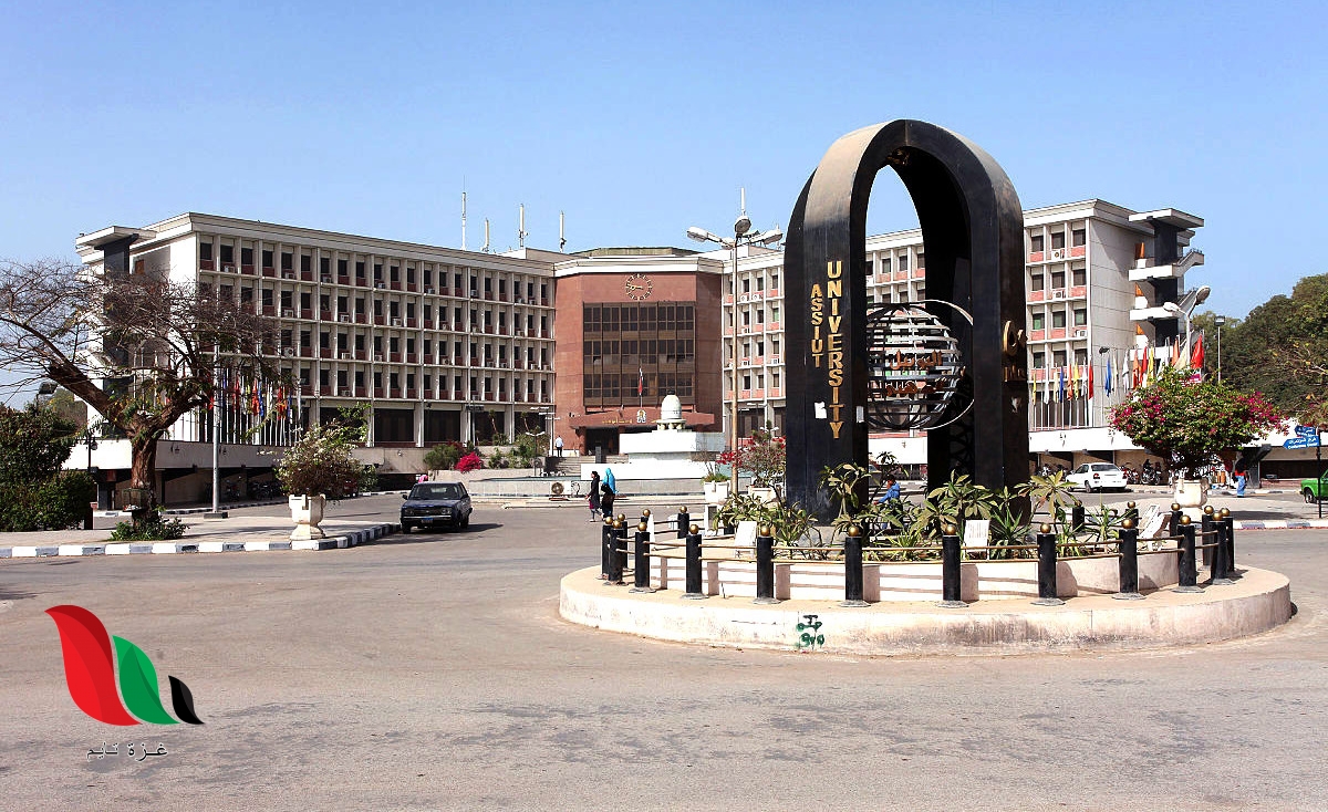 توقعات تنسيق الثانوية العامة 2020 في الجامعات المصرية