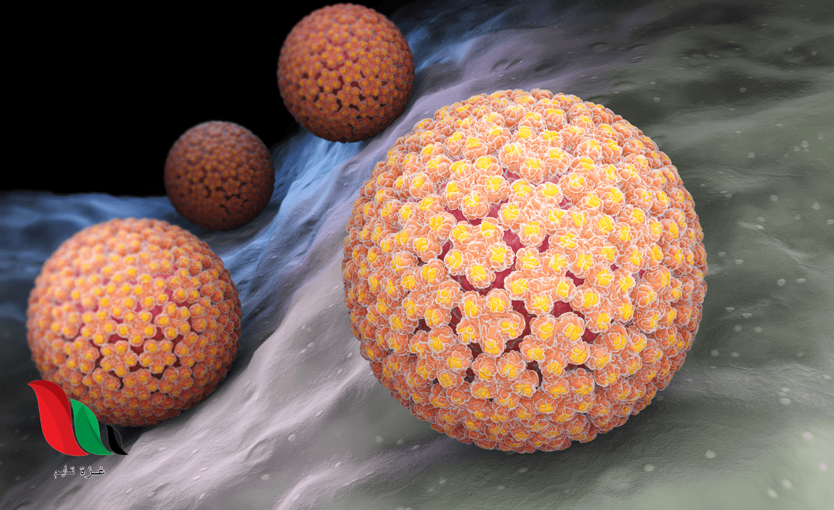 شاهد: ما هو فيروس المرض الحليمي البشري الذي اصاب روان حسين وزوجها