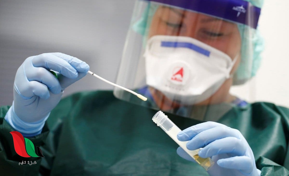 كيف اعرف نتيجة فحص كورونا من تطبيق صحتي ؟