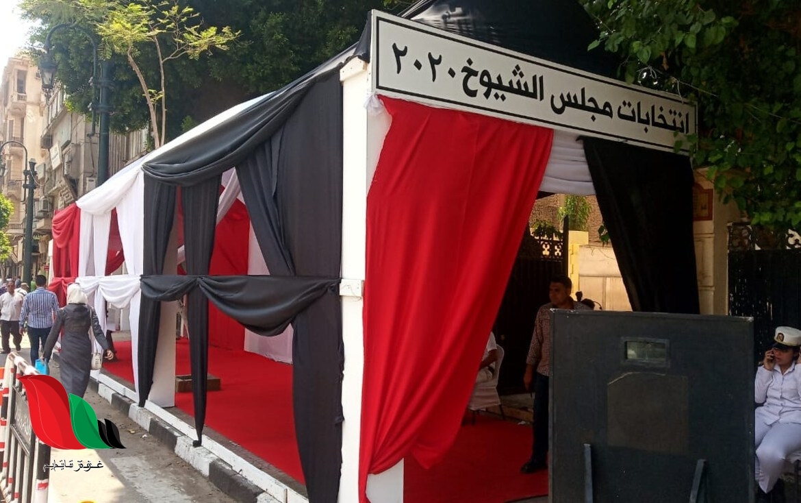 نتيجة انتخابات مجلس الشيوخ المصري 2020 بقنا وفي كافة المحافظات