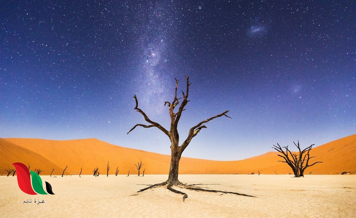 اين وكيف يدفن الجن موتاهم ؟