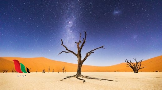 اين وكيف يدفن الجن موتاهم ؟