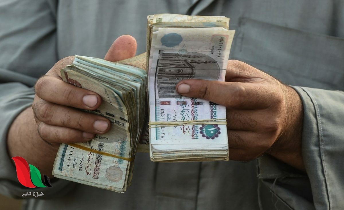 مصر: استعلام بالرقم القومي تكافل وكرامة 2020 عبر وزارة التضامن الاجتماعي