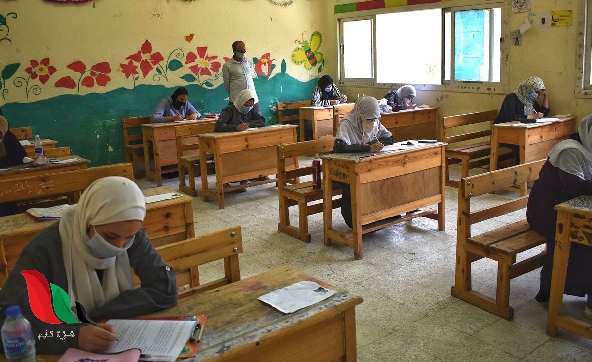 فيديو: كلمة وزير التربية والتعليم اليوم بشأن العام الدراسي الجديد في مصر