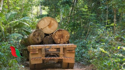 اسباب التصحر وتدهور الاراضي الزراعيه في دول مجلس التعاون