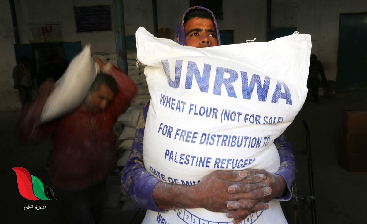 غزة: الأونروا تحدد الفئات المستثناة من توزيع الكابونات الغذائية