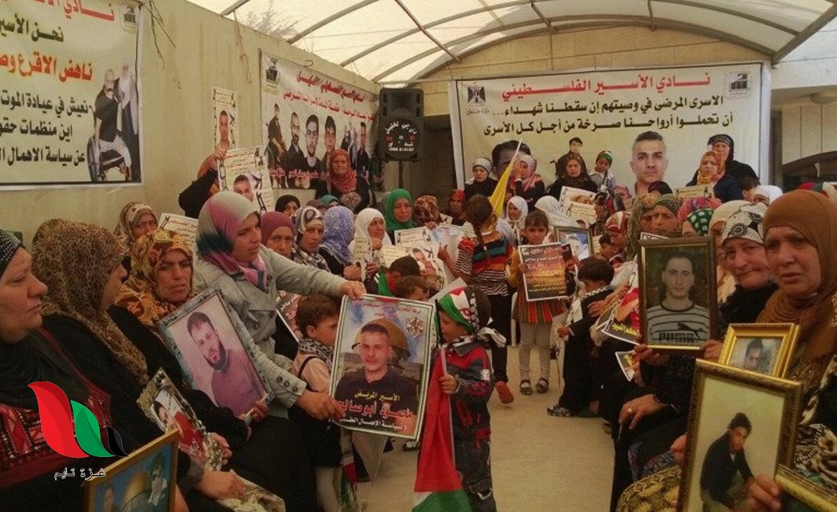 250 أسيرًا فلسطينيًا من غزة في سجون الاحتلال
