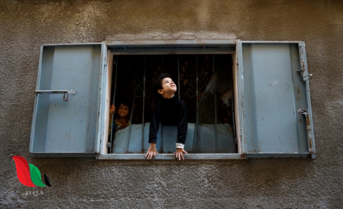 مستشار وزيرة الصحة: الوضع الوبائي في غزة ما زال خطيرًا