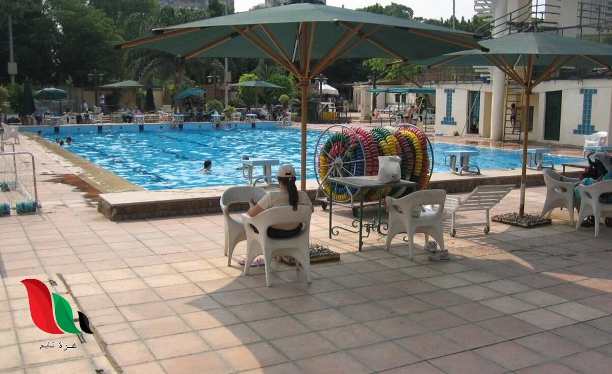 شاهد: صور فضيحة سيدات نادى الجزيرة تشعل منصات التواصل