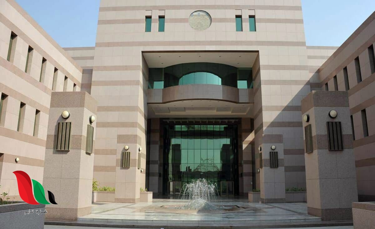 كم نسبة قياس القدرات المطلوبة لدخول الجامعة .. تخصصات تقبل 60