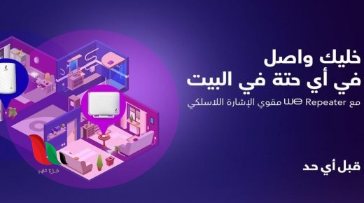 الاستعلام عن فاتورة التليفون الأرضي من المصرية للاتصالات بالاسم