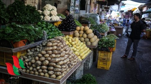 أسعار الخضار والفواكه واللحوم في أسواق غزة اليوم الخميس