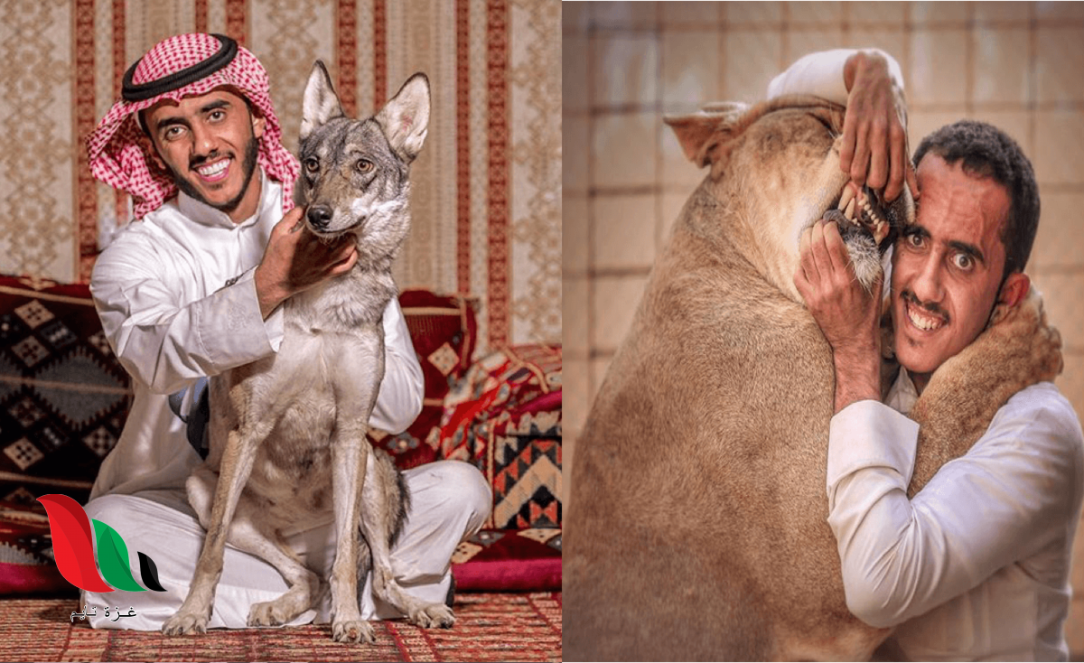 حقيقة موت اسامة الدغيري أثناء اللعب مع الأسد