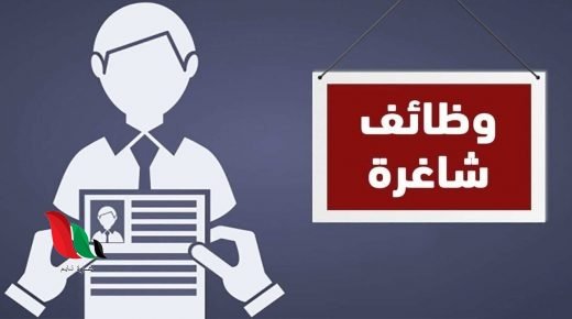 تخصصات مختلفة.. وظائف شاغرة للخريجين في غزة