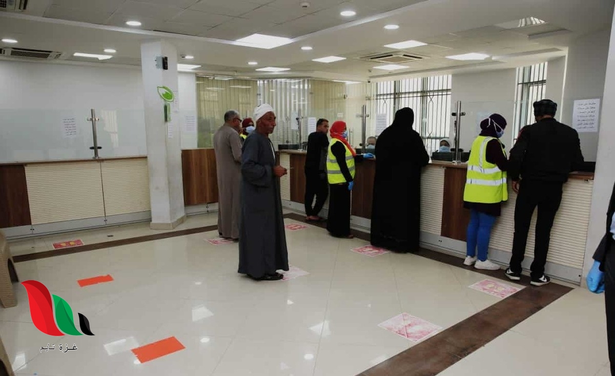 استعلام بالرقم القومي عن تكافل وكرامة 2021