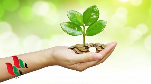 هل يجوز إخراج زكاة الفطر خارج بلد الإقامة ؟