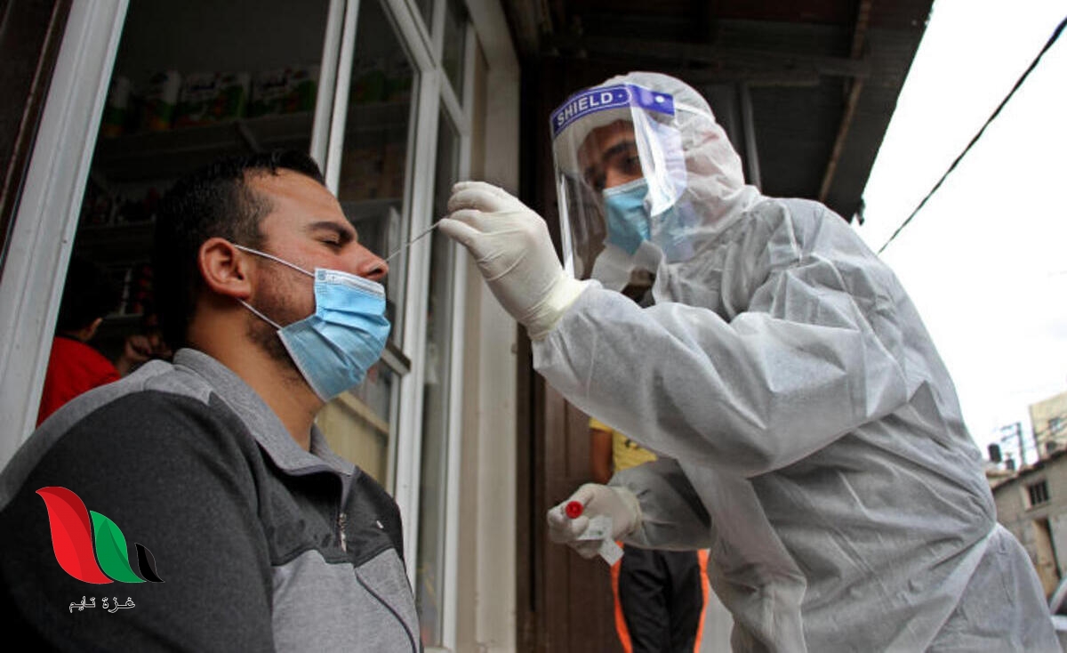 حصيلة وفيات وإصابات فيروس كورونا في غزة خلال 24 ساعة الماضية