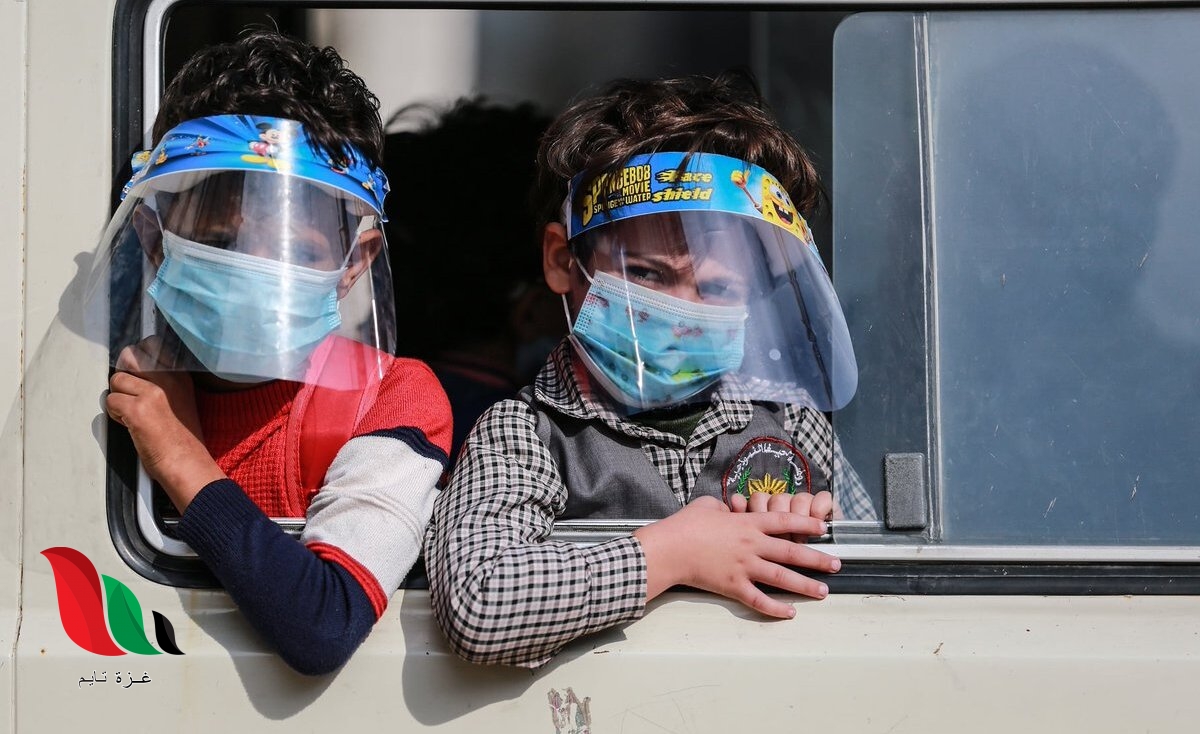 توقعات بانخفاض المنحنى الوبائي في غزة خلال الأيام القادمة