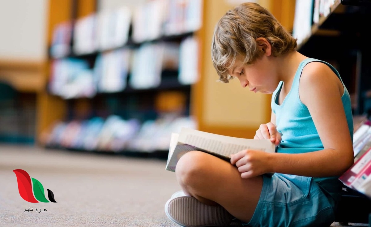 تلخيص قصة عادل في الطائرة في اربع اسطر